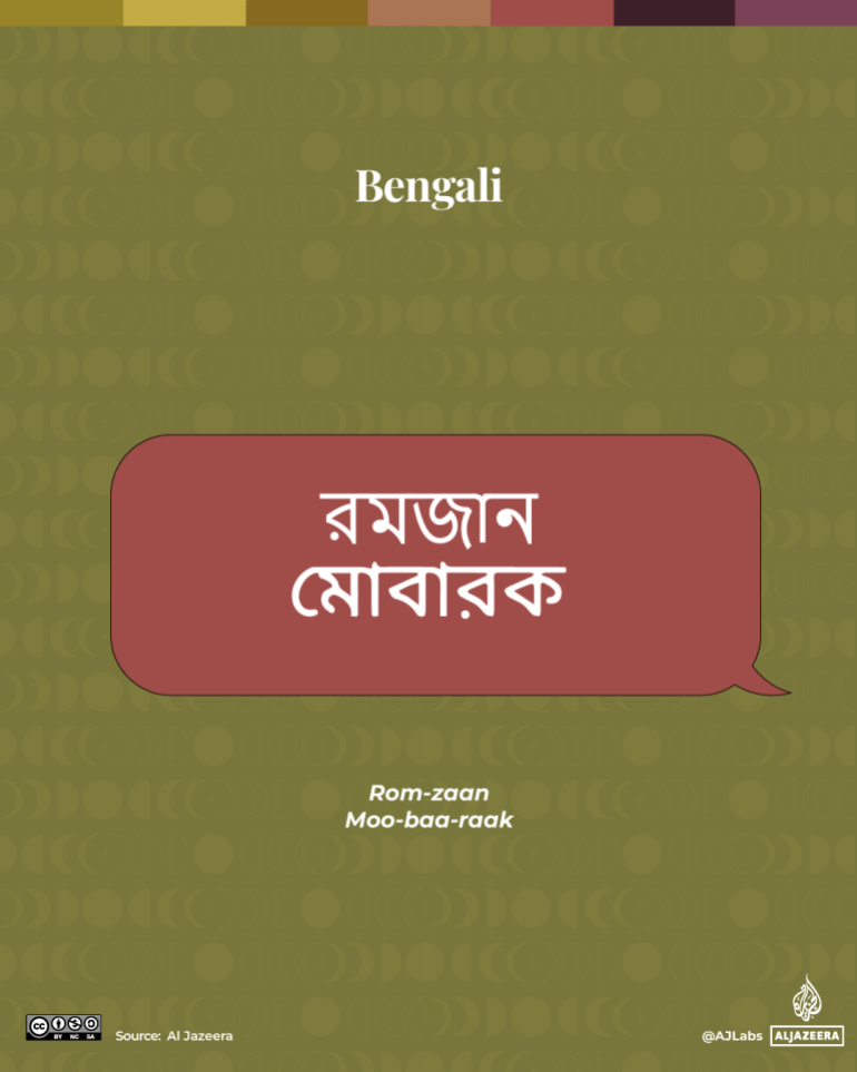 Interactive_bengali-1740488533