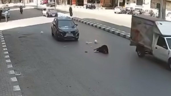 حبس طالب أنهى حياة سيدة بسيارة مسرعة في طنطا 4 أيام علي ذمة التحقيقات
