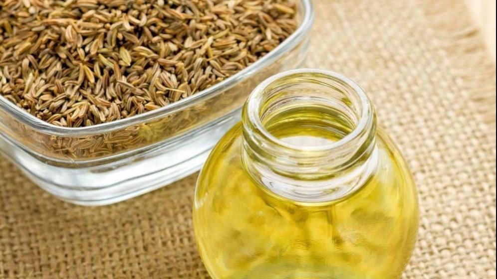 زيت الشمر له فوائد علاجية متعددة